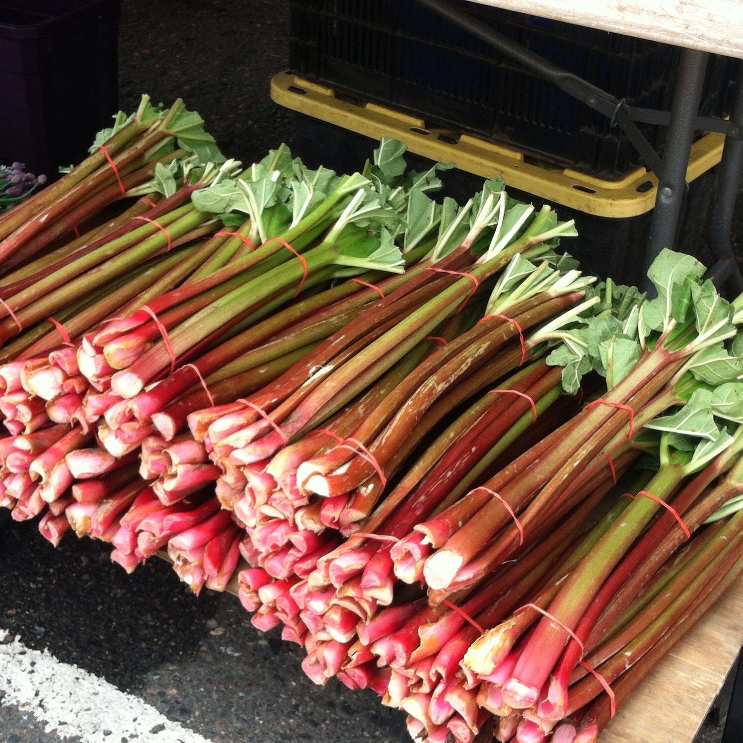 farmers market