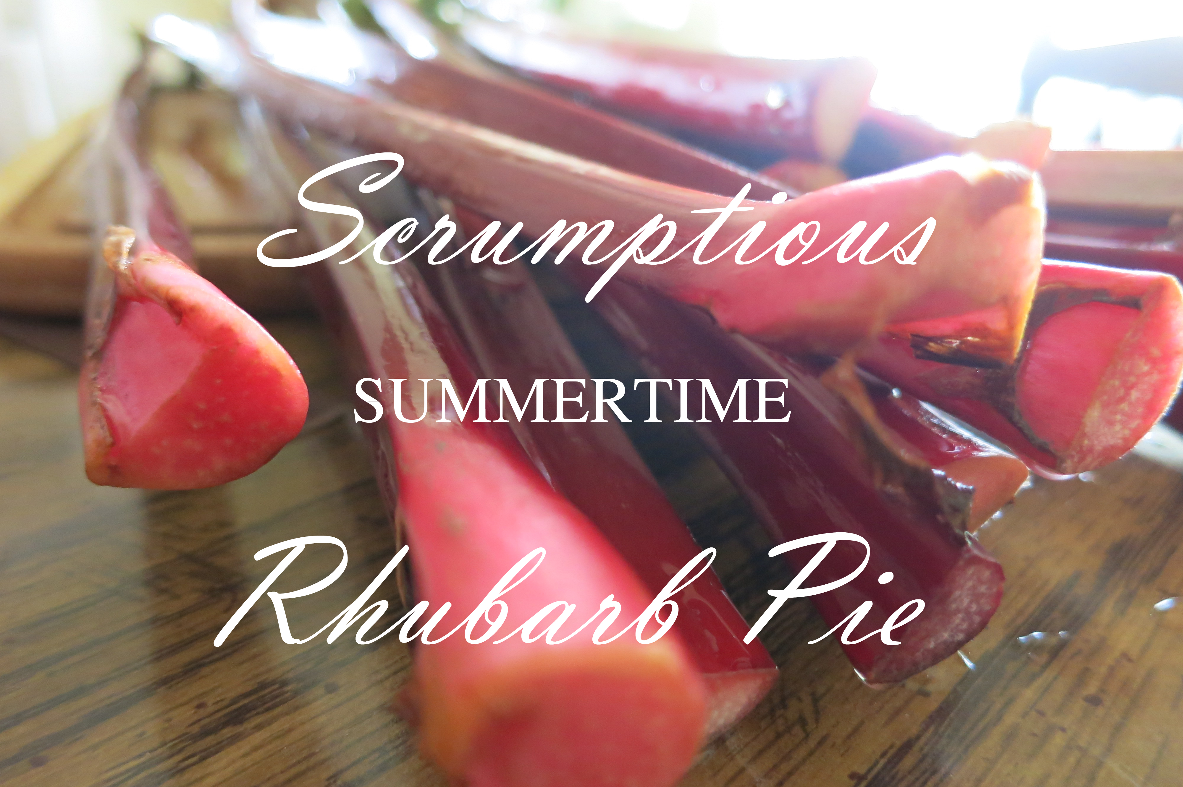 summertime rhubarb pie